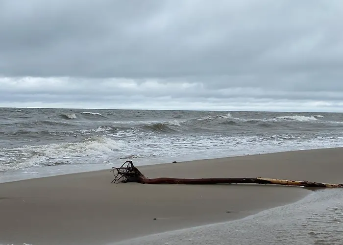 Ekologiczny Z Ogrodkiem Jastrzębia Góra